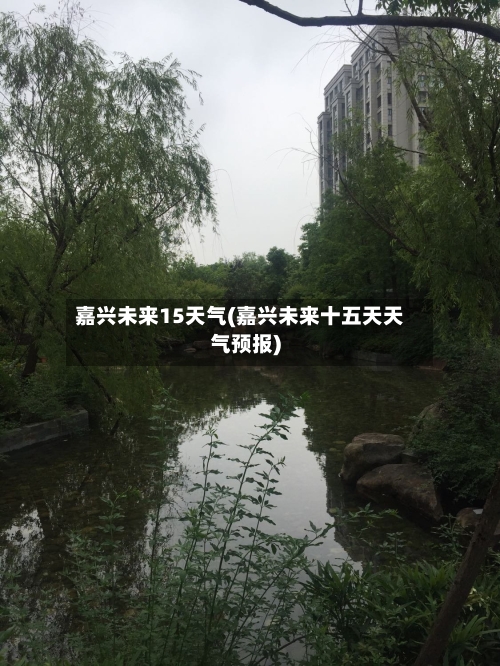 嘉兴未来15天气(嘉兴未来十五天天气预报)