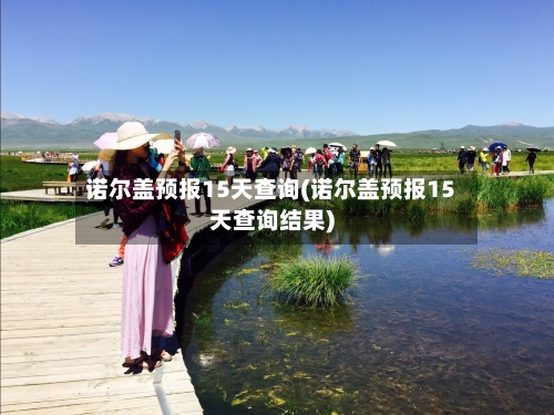 诺尔盖预报15天查询(诺尔盖预报15天查询结果)
