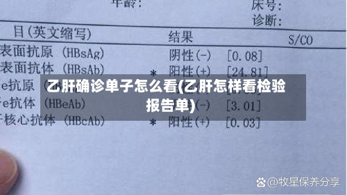 乙肝确诊单子怎么看(乙肝怎样看检验报告单)