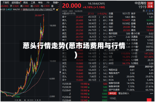 葱头行情走势(葱市场费用与行情)