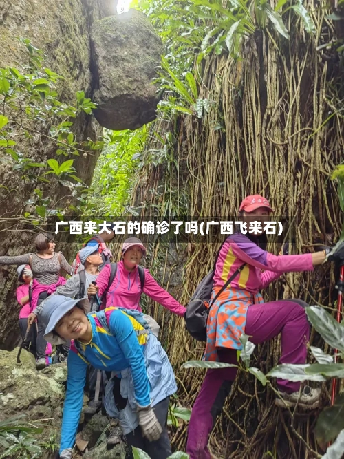 广西来大石的确诊了吗(广西飞来石)