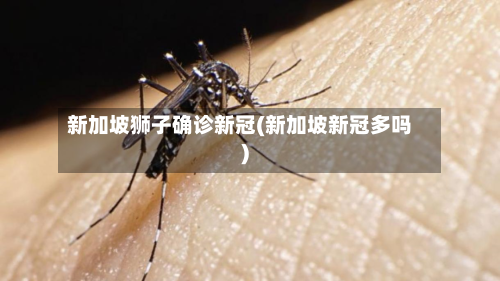 新加坡狮子确诊新冠(新加坡新冠多吗)