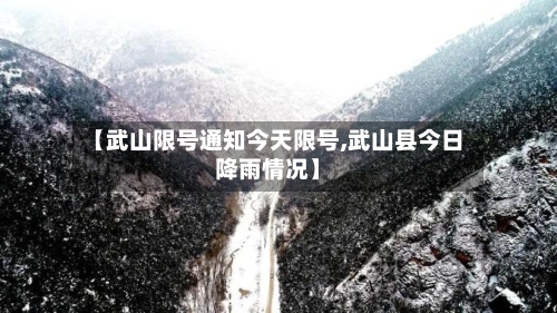 【武山限号通知今天限号,武山县今日降雨情况】