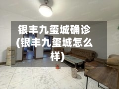 银丰九玺城确诊(银丰九玺城怎么样)