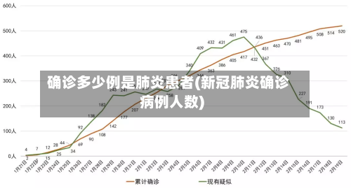 确诊多少例是肺炎患者(新冠肺炎确诊病例人数)