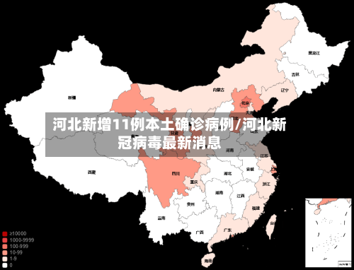 河北新增11例本土确诊病例/河北新冠病毒最新消息
