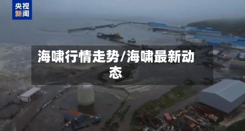 海啸行情走势/海啸最新动态