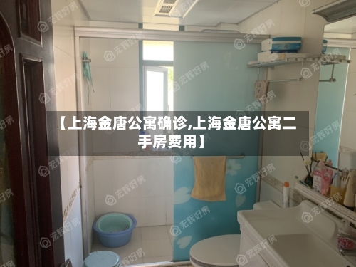 【上海金唐公寓确诊,上海金唐公寓二手房费用】