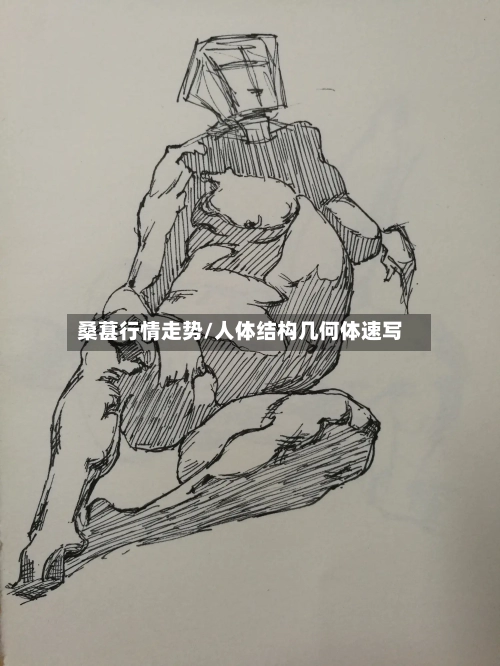 桑葚行情走势/人体结构几何体速写
