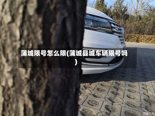 蒲城限号怎么限(蒲城县城车辆限号吗)