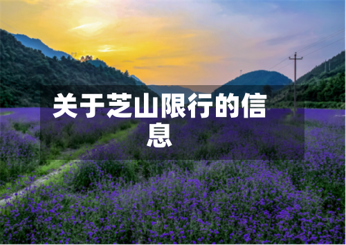 关于芝山限行的信息