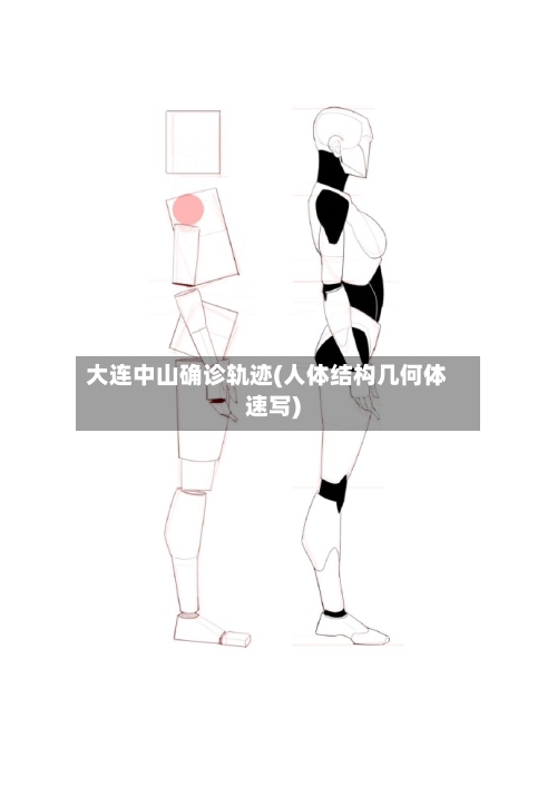 大连中山确诊轨迹(人体结构几何体速写)