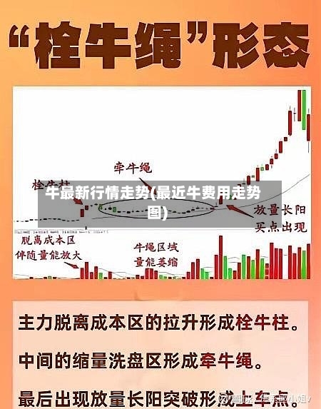 牛最新行情走势(最近牛费用走势图)