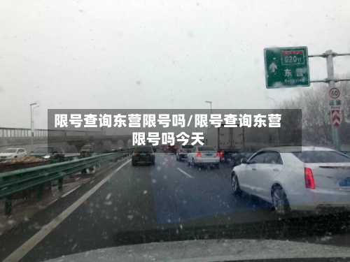 限号查询东营限号吗/限号查询东营限号吗今天