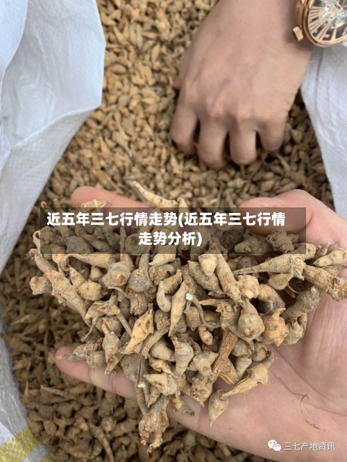 近五年三七行情走势(近五年三七行情走势分析)