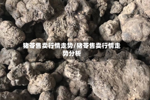 猪苓售卖行情走势/猪苓售卖行情走势分析