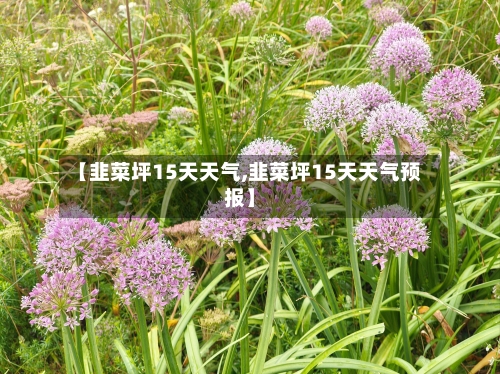 【韭菜坪15天天气,韭菜坪15天天气预报】