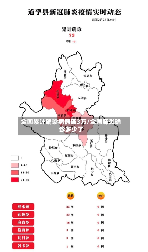 全国累计确诊病例破3万/全国肺炎确诊多少了