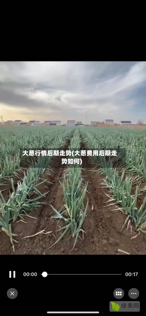 大葱行情后期走势(大葱费用后期走势如何)