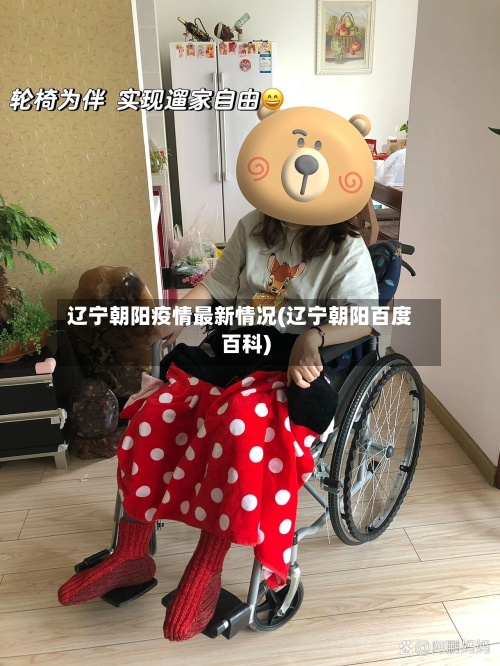 辽宁朝阳疫情最新情况(辽宁朝阳百度百科)
