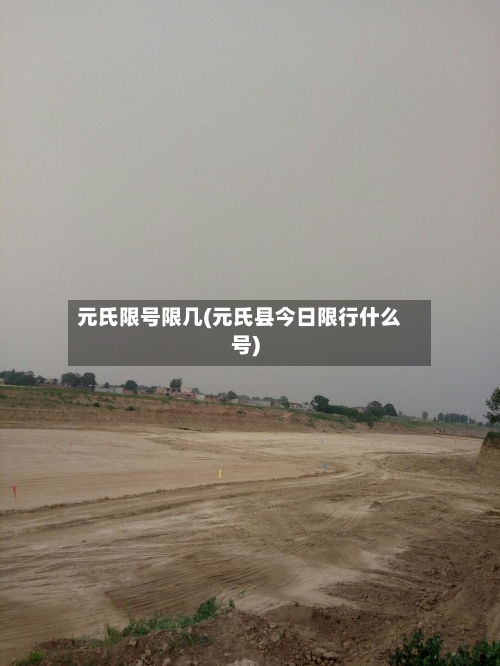元氏限号限几(元氏县今日限行什么号)