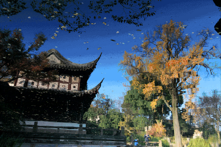 【苏州疫情动态实时播报,苏州最新动态】