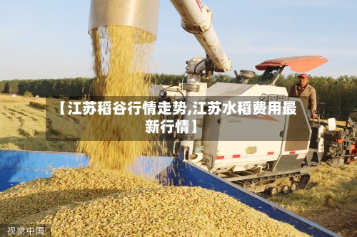 【江苏稻谷行情走势,江苏水稻费用最新行情】