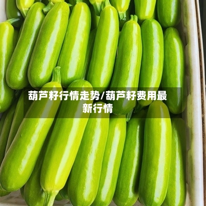 葫芦籽行情走势/葫芦籽费用最新行情