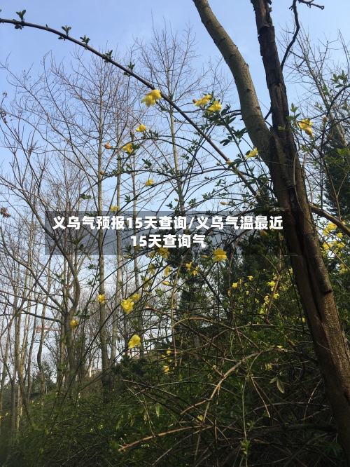 义乌气预报15天查询/义乌气温最近15天查询气