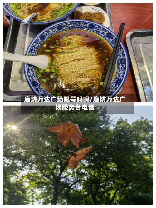 廊坊万达广场限号吗吗/廊坊万达广场服务台电话
