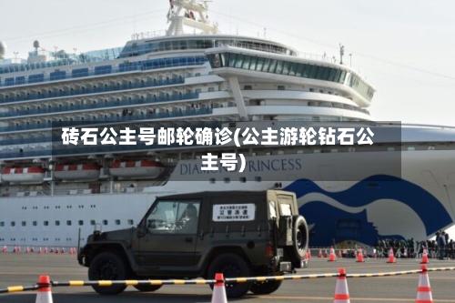 砖石公主号邮轮确诊(公主游轮钻石公主号)