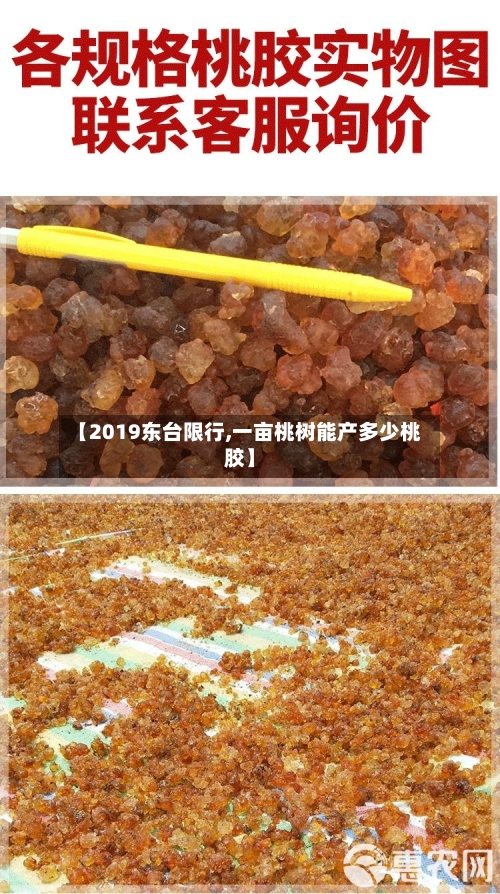 【2019东台限行,一亩桃树能产多少桃胶】