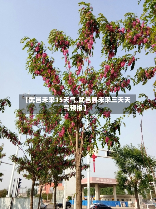 【武邑未来15天气,武邑县未来三天天气预报】