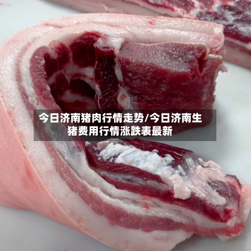 今日济南猪肉行情走势/今日济南生猪费用行情涨跌表最新