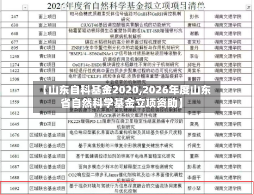 【山东自科基金2020,2026年度山东省自然科学基金立项资助】