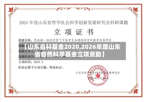 【山东自科基金2020,2026年度山东省自然科学基金立项资助】
