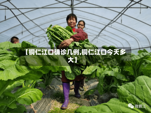 【铜仁江口确诊几例,铜仁江口今天多大】