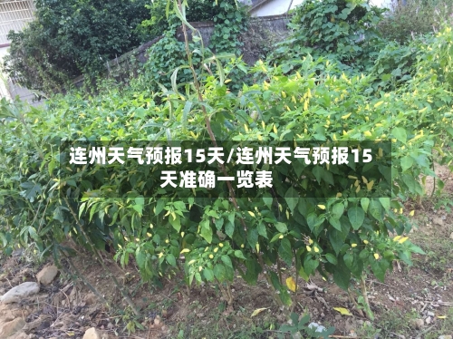 连州天气预报15天/连州天气预报15天准确一览表