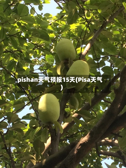 pishan天气预报15天(Pisa天气)