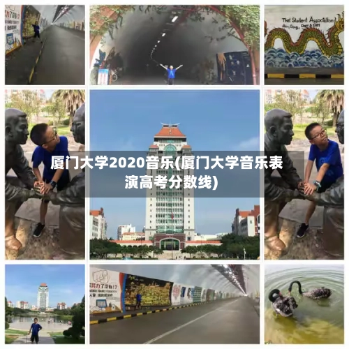 厦门大学2020音乐(厦门大学音乐表演高考分数线)