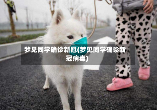 梦见同学确诊新冠(梦见同学确诊新冠病毒)