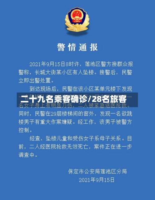 二十九名乘客确诊/28名旅客