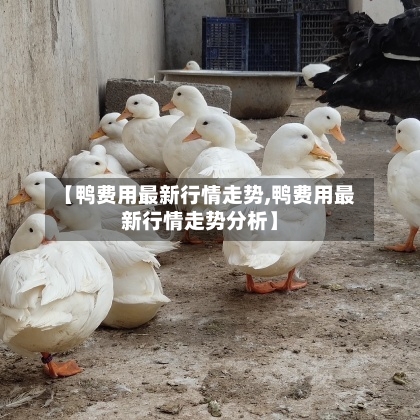 【鸭费用最新行情走势,鸭费用最新行情走势分析】