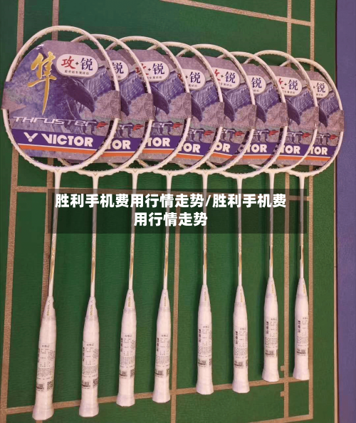 胜利手机费用行情走势/胜利手机费用行情走势