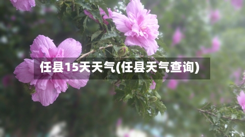 任县15天天气(任县天气查询)