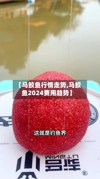 【马鲛鱼行情走势,马鲛鱼2024费用趋势】