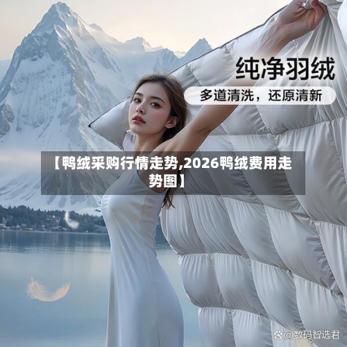 【鸭绒采购行情走势,2026鸭绒费用走势图】