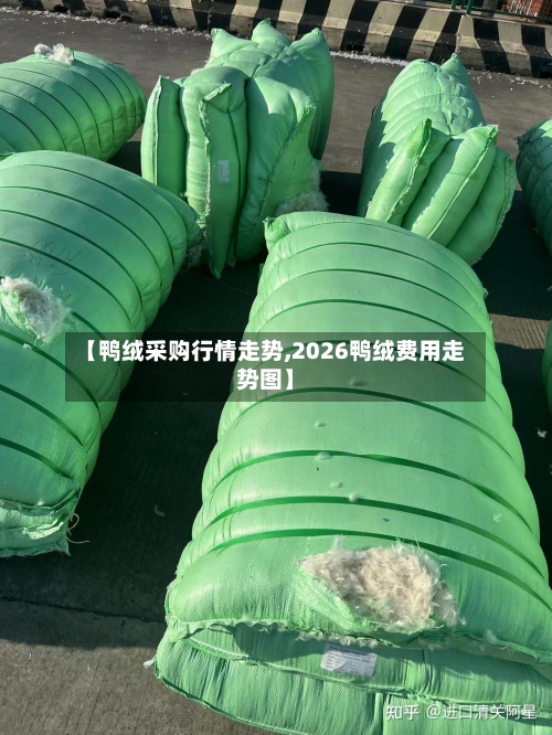 【鸭绒采购行情走势,2026鸭绒费用走势图】