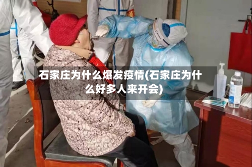 石家庄为什么爆发疫情(石家庄为什么好多人来开会)