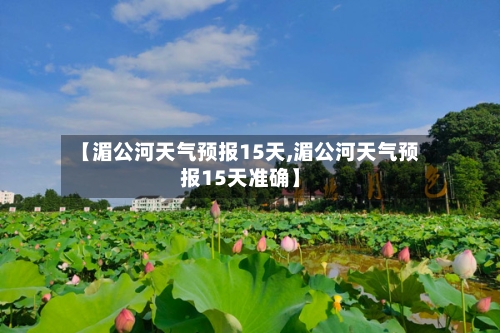 【湄公河天气预报15天,湄公河天气预报15天准确】